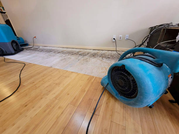 Professional Sewage Cleanup technician working in Clayton, MI